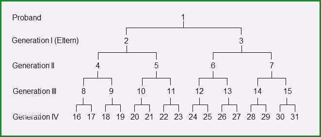familienstammbaum erstellen vorlage cool stammbaum formular vorlagen gratis