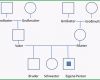 Erstaunlich Genogramm Definition Herkunft Und Anleitung