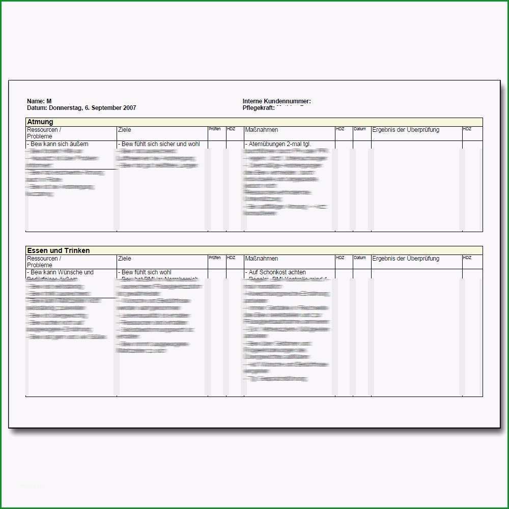 17 Phänomenal Pflegeplanung Vorlage Sie Kennen Müssen 1