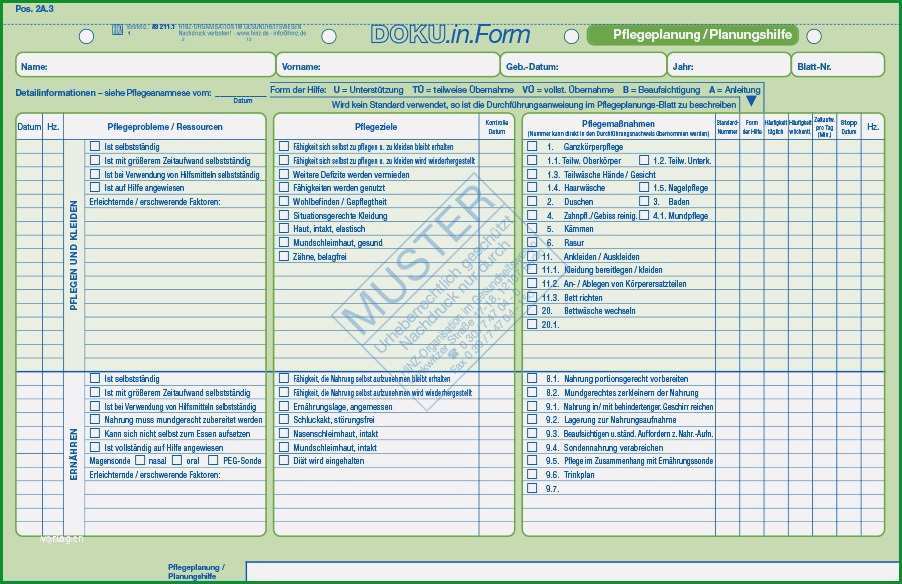 masnahmenplan vorlage pflege schon heim hinz