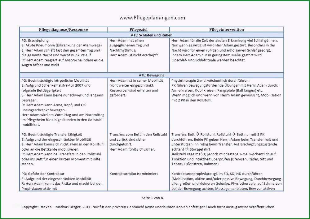 pflegeplanung muster zum ausdrucken