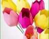 Erstaunlich Papier Blumen Basteln Einfache Tulpen Mit Vorlage