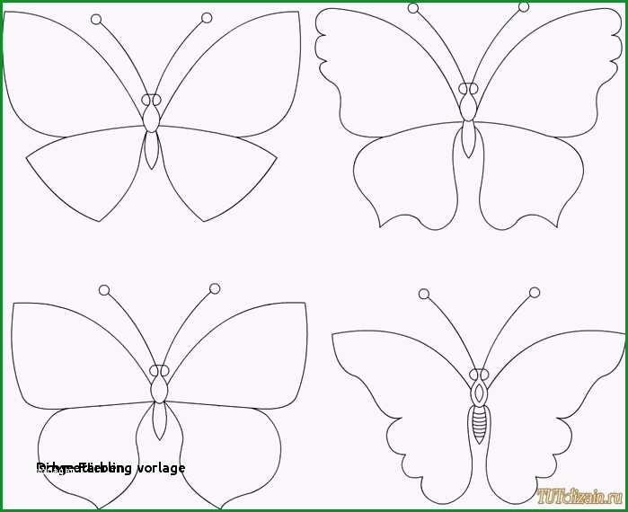 schmetterlinge 3d vorlage