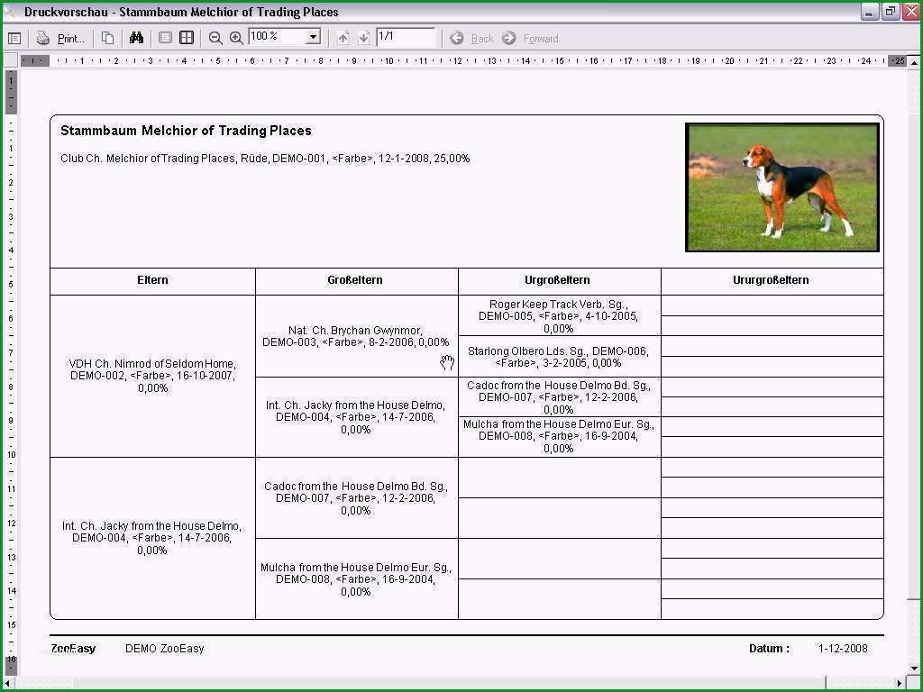 stammbaum erstellen vorlage beste zooeasy hundezucht software hunde stammbaum hunde