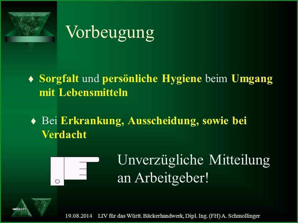 belehrung nach 43 infektionsschutzgesetz vorlage beste ifsgbelehrung nach 43 infektionsschutzgesetz vorlage