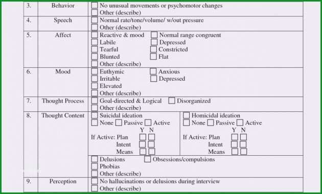 Fantastisch Mini Mental Status Checklist - Kostenlos Vorlagen