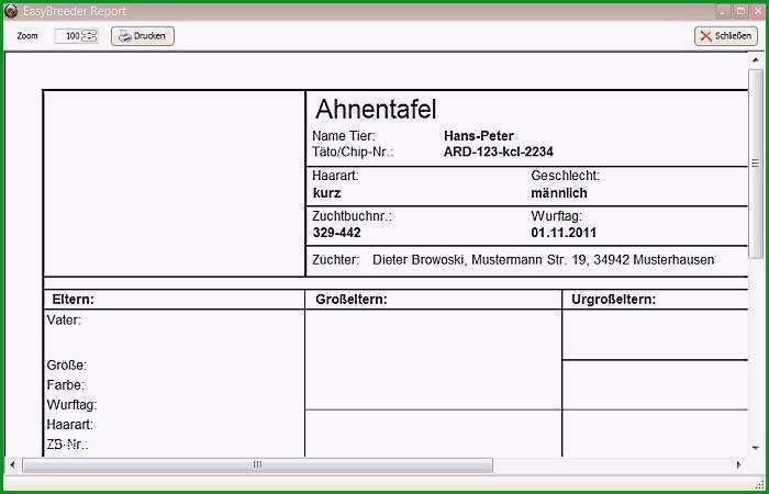 stammbaum erstellen biologie stammbaum erstellen vorlage