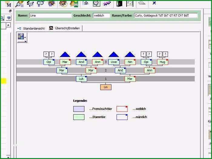 stammbaum erstellen vorlage genial stammbaum erstellen