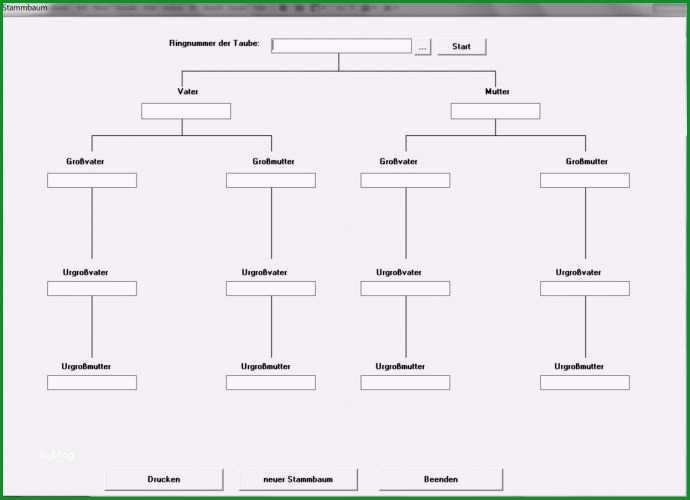 stammbaum vorlage pdf elegant tolle stammbaum bildet vorlagen bilder entry level