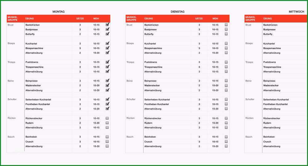 trainingsplan pferd vorlage