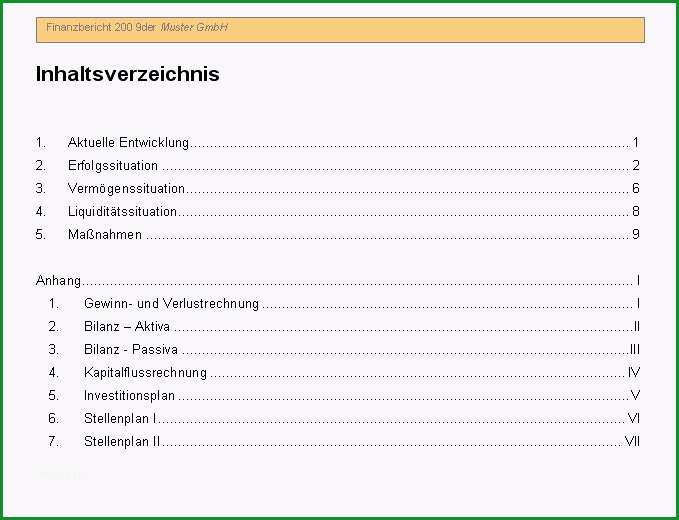 Finanzbericht Vorlage