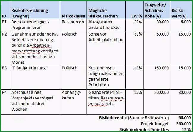 risikomanagement projekt