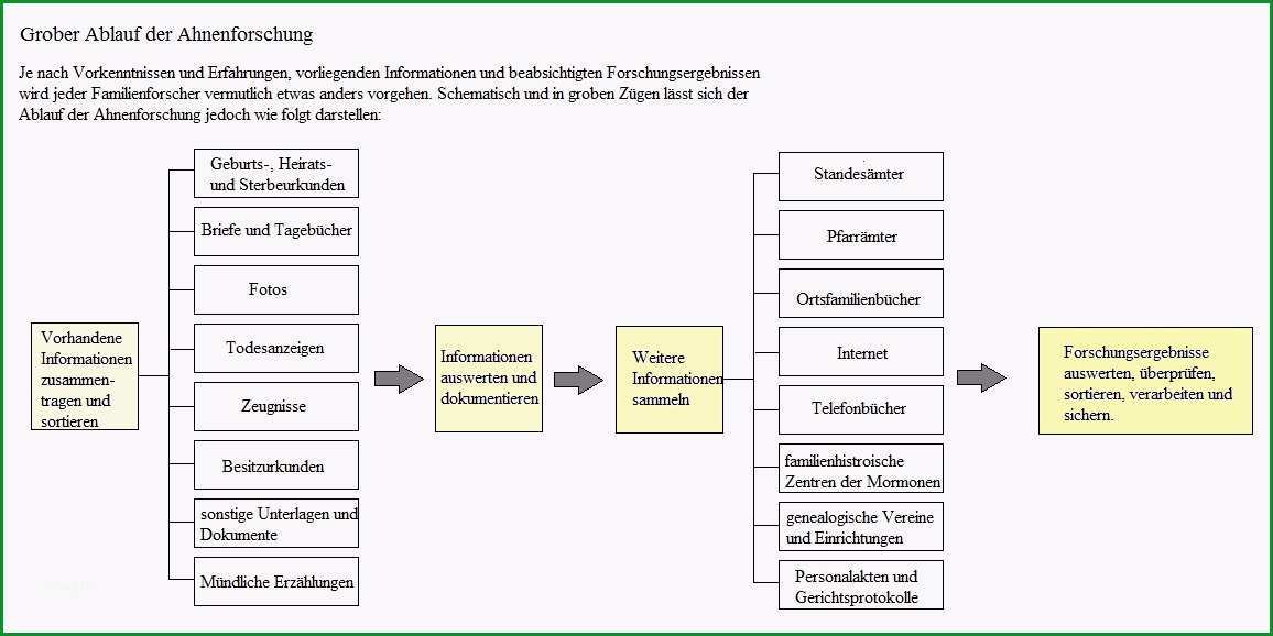 stammbaum grafiken und diagramme