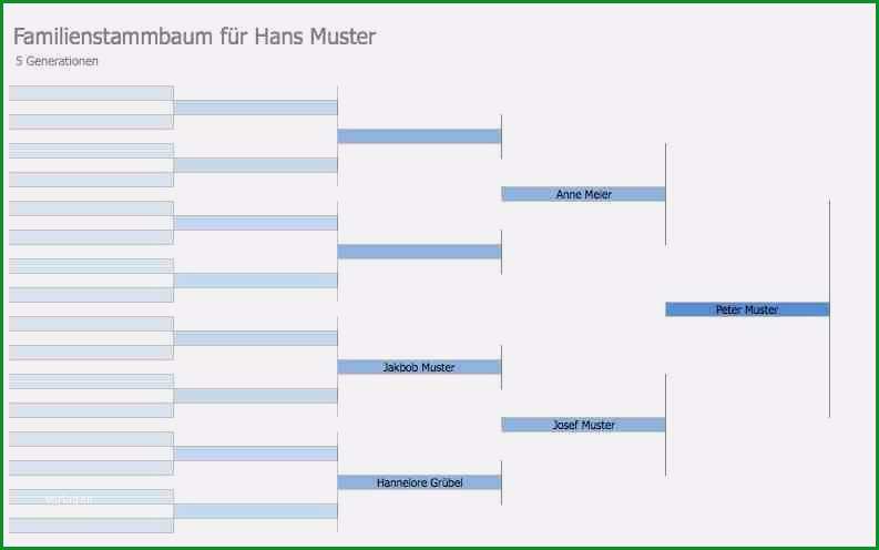 stammbaum vorlage 5 generationen luxus stammbaum vorlage gratis excel and word vorlage muster