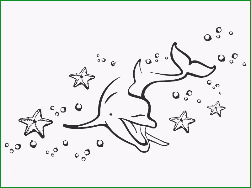 Unterwasserwelt mit Delphin