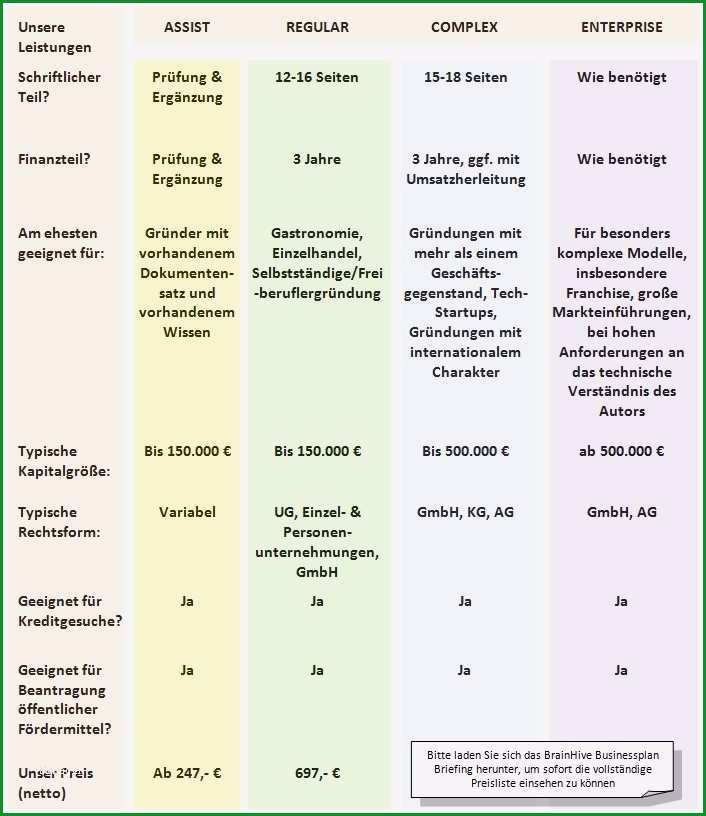 13 investitionsplan vorlage