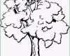 Großartig Baum Ausmalbild &amp; Malvorlage Blumen In Baum Malen