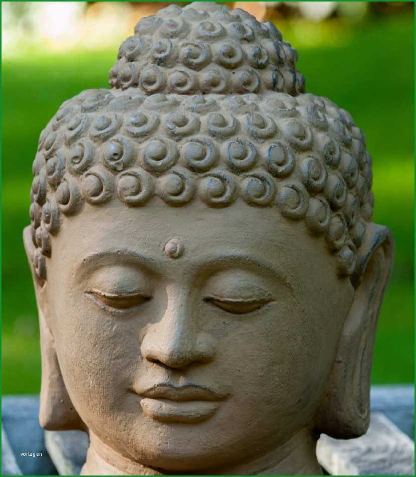 buddha bueste hoehe 25cm