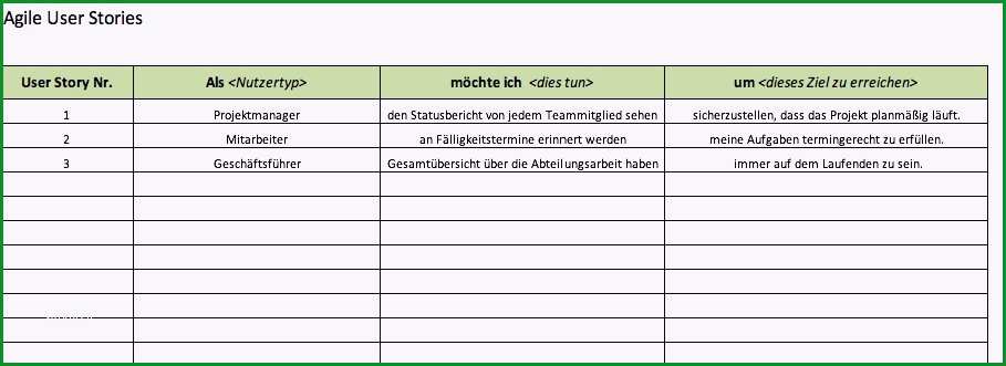 projektbeschreibung vorlage