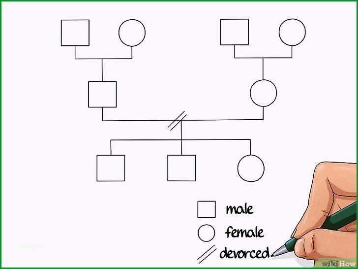 Costruire un Genogramma