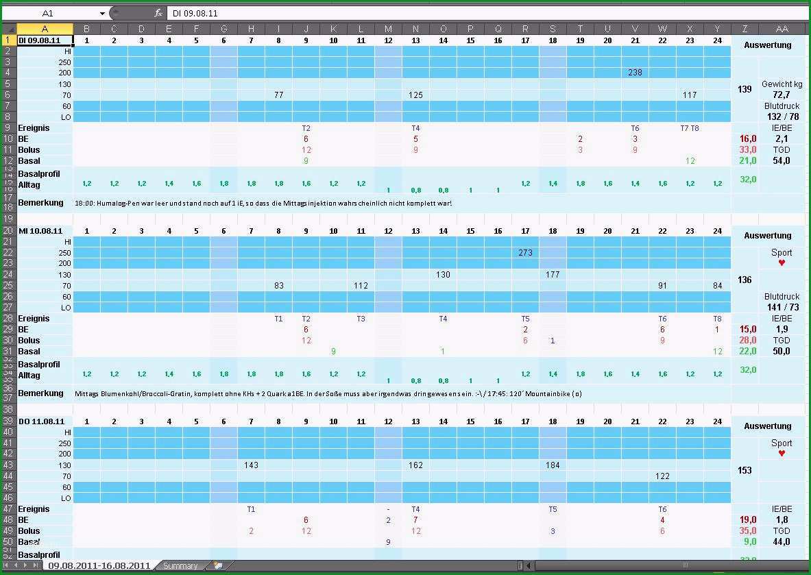 diabetes tagebuch papier excel 229 IDSprache=1