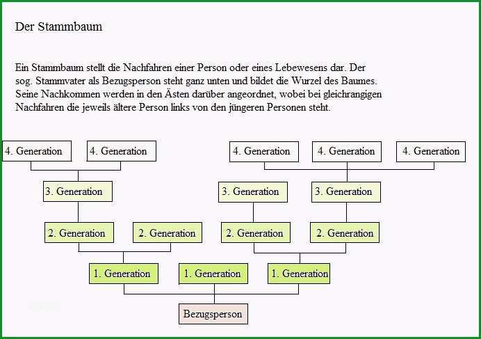 stammbaum vorlage word