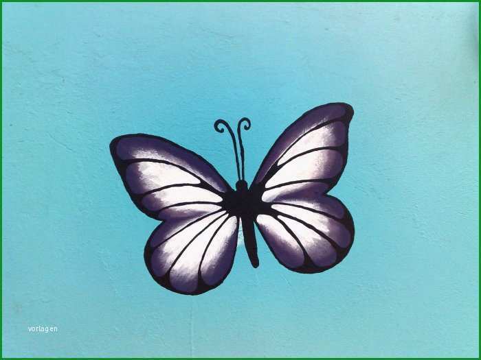 schmetterling wand 30