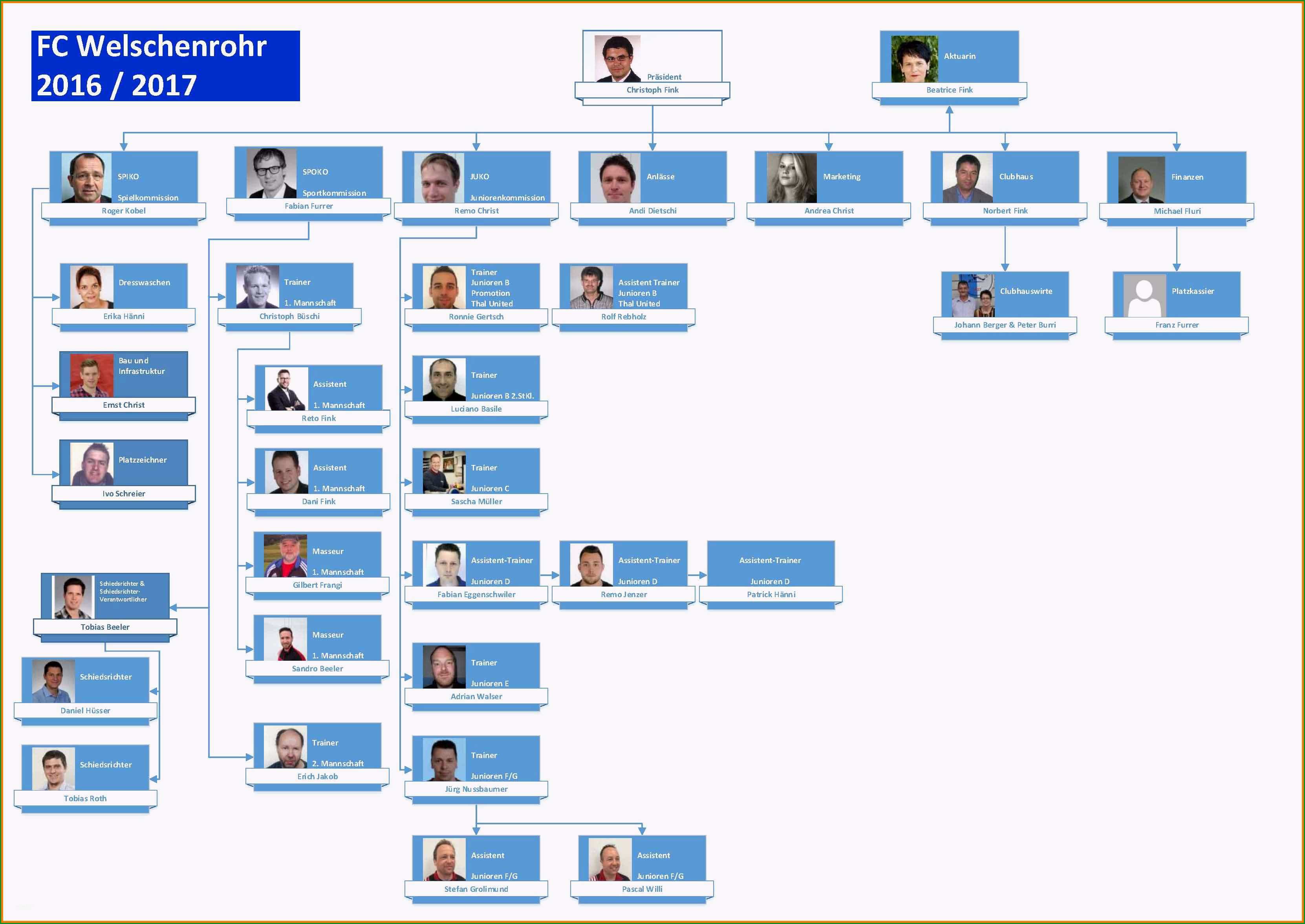 12 organigramm vorlage pdf