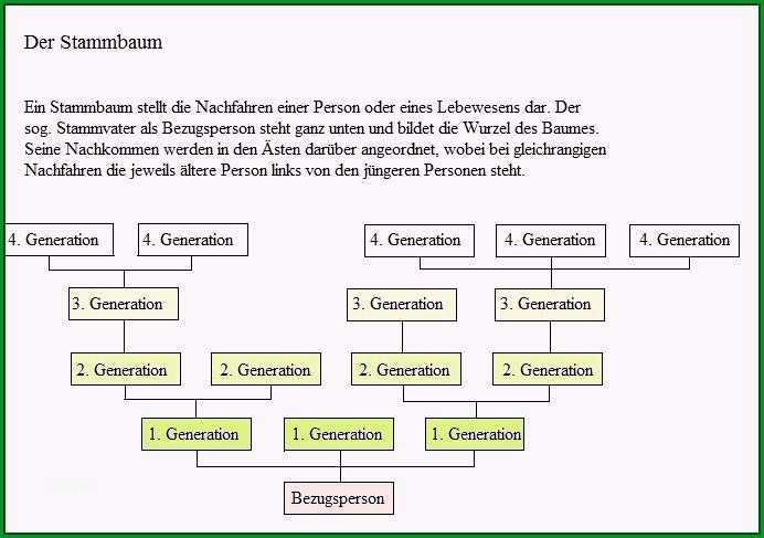 stammbaum vorlage mit geschwistern