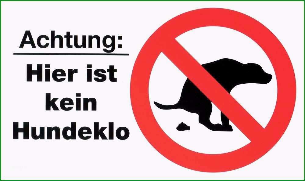 auto zu verkaufen schild vorlage kostenlos bewundernswert schilder 150x250mm warnschild kein hundeklo hinweisschild