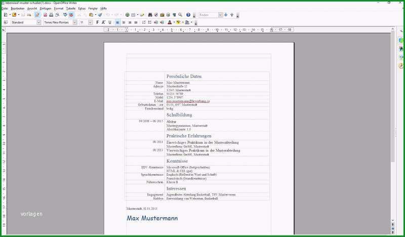 lebenslauf fur schuler