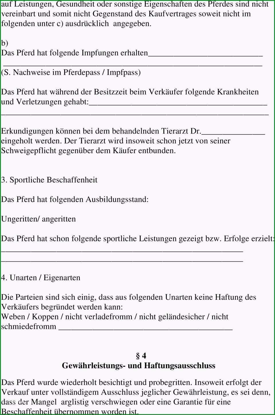 trainingsplan pferd vorlage niedlich pferd verkauf vertragsvorlage zeitgenossisch