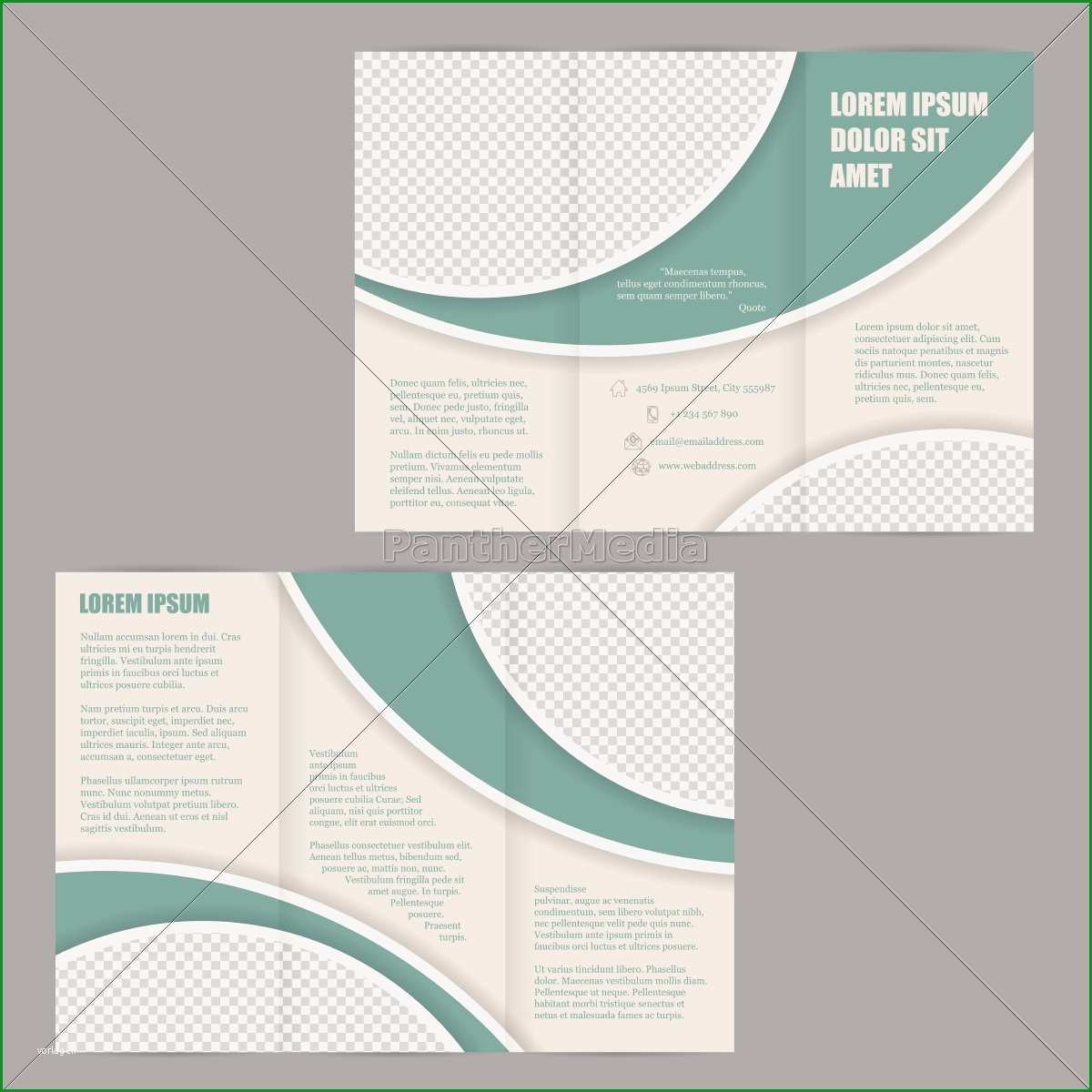 tri fold broschuere flyer design vorlage