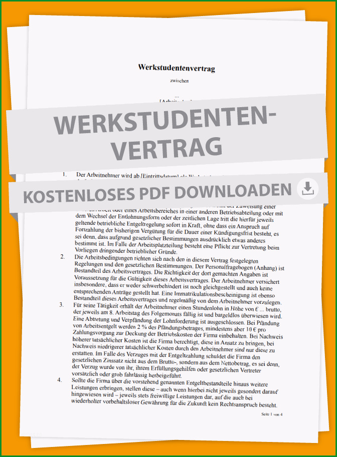 Werkstudenten Mustervertrag Rechte und Verantwortung