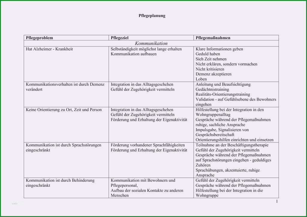 26 beispiele pflegeplanung