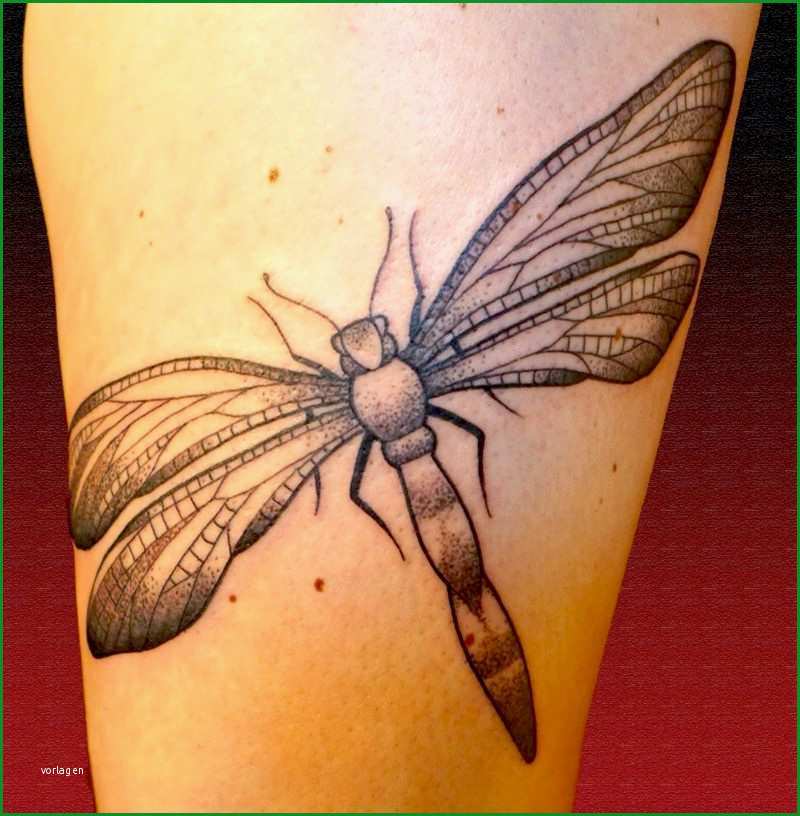 libelle tattoo ideen symbolik