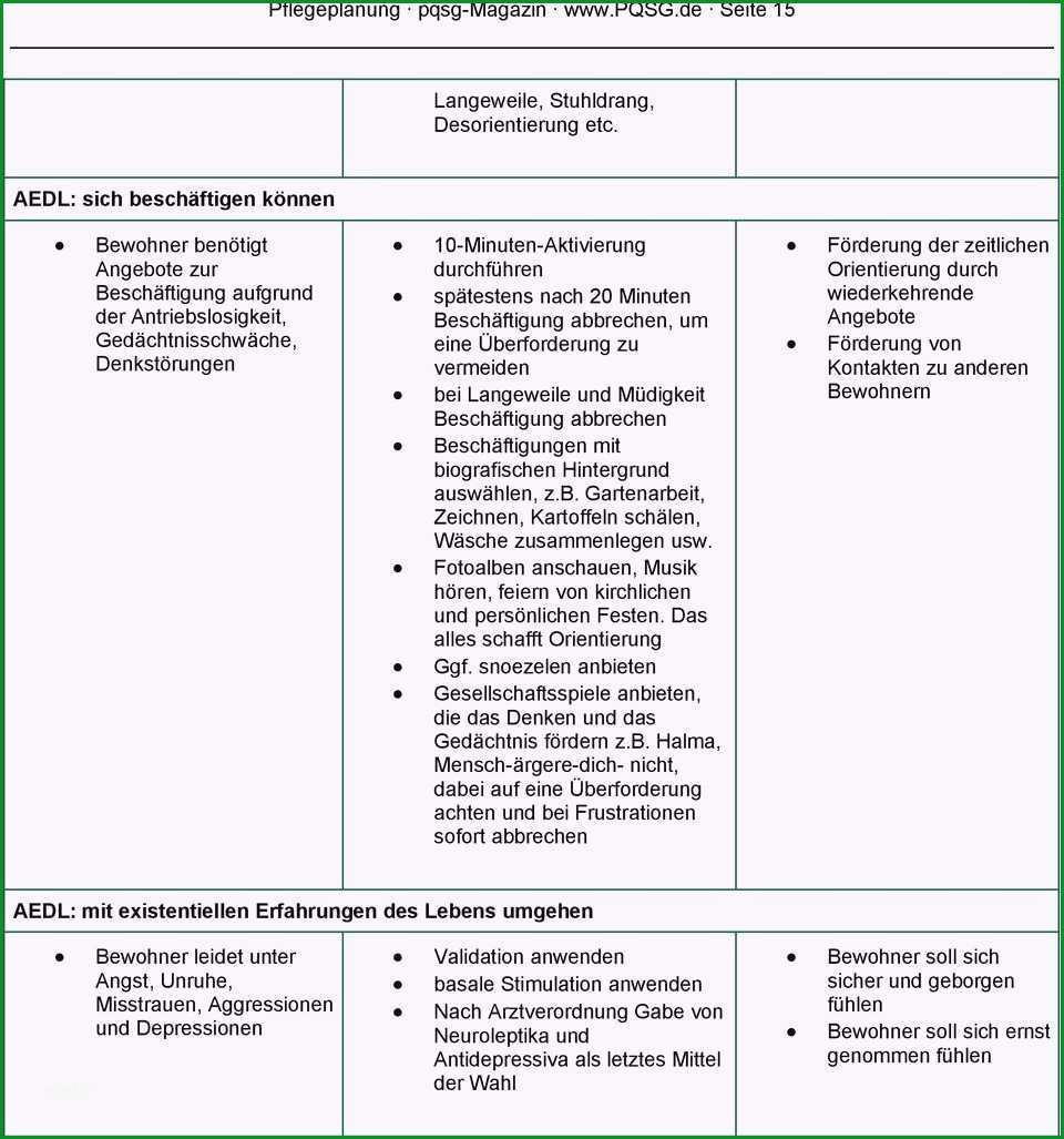 pflegeplanung muster zum ausdrucken