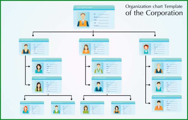 organigramm vorlage des unternehmens