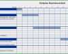 Phänomenal Projektplan Erstellen Excel Vorlage Inspiration 17