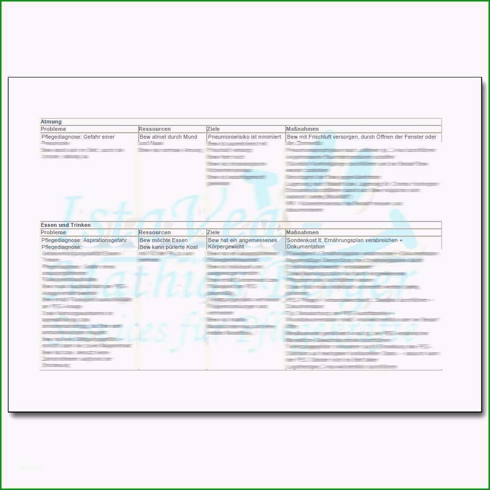 sis pflegeplanung muster muster und vorlage sis pflegedokumentation muster