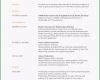Schockieren Anschreiben Bewerbung Englisch Coverletter Example Cv Muster
