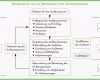 Schockieren Auditplan Auditprogramm iso 9001 Audit Plan