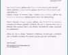 Schockieren Berliner Testament Vordruck Expense Report – Vorlagen 365