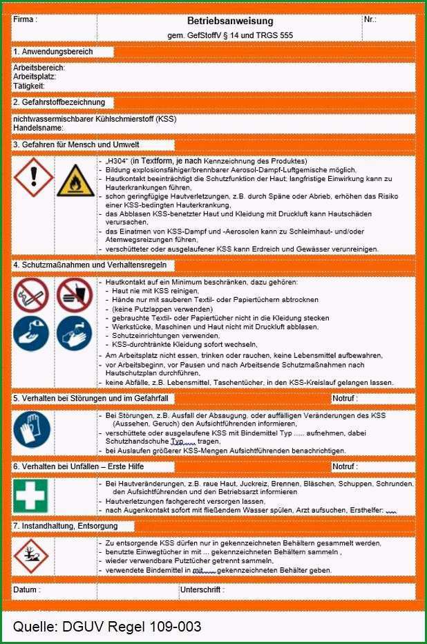 betriebsanweisung vorlage inspirational betriebsanweisung gefahrstoffe muster