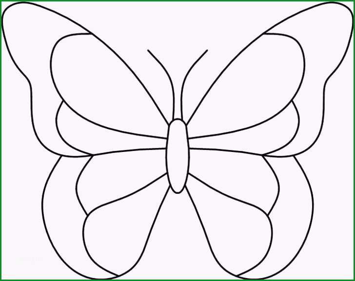 schmetterling vorlage zum ausdrucken