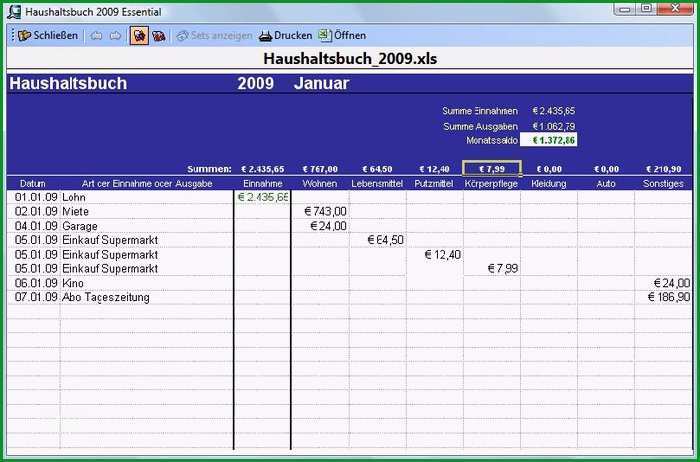 Schockieren Excel Vorlage Haushaltsbuch 2009 Download