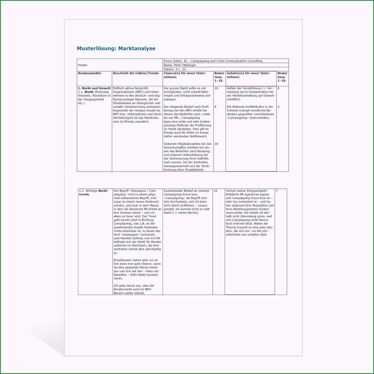 musterloesung marktanalyse