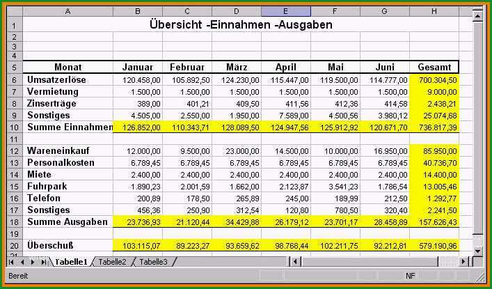 einnahmen ausgaben vorlage pdf