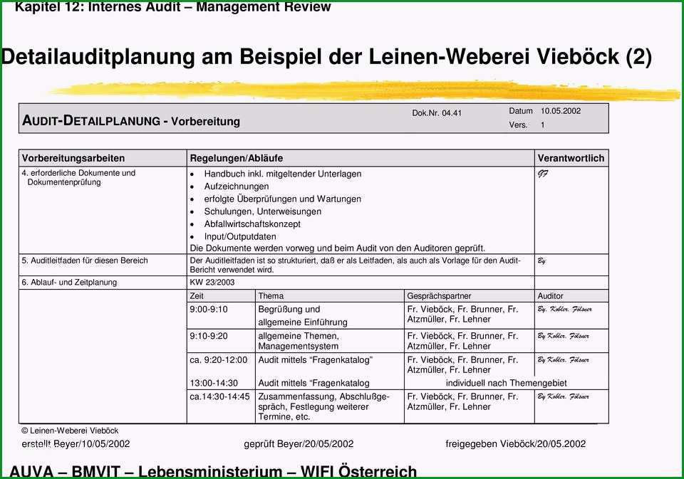 Internes audit management review