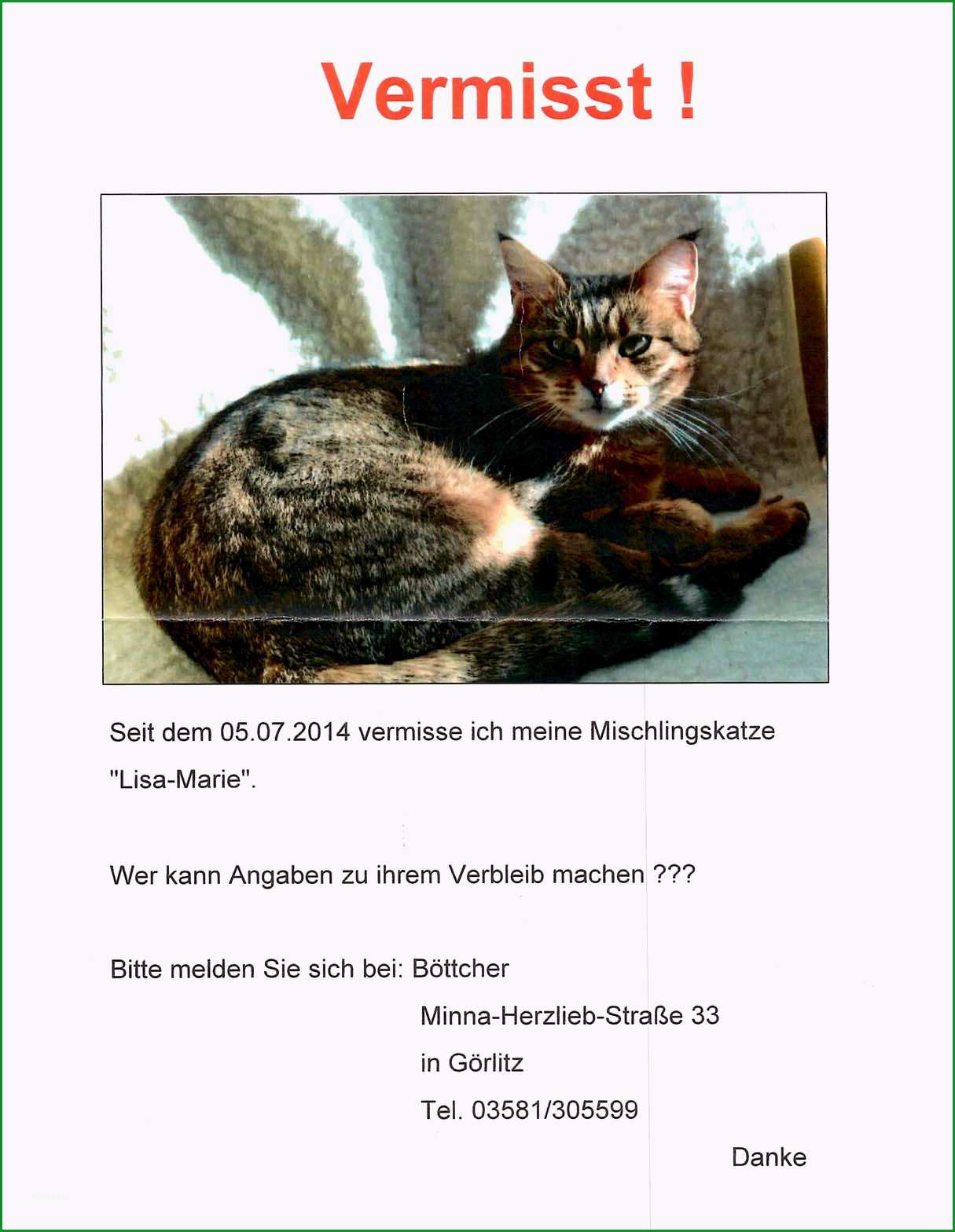 katze vermisst vorlage